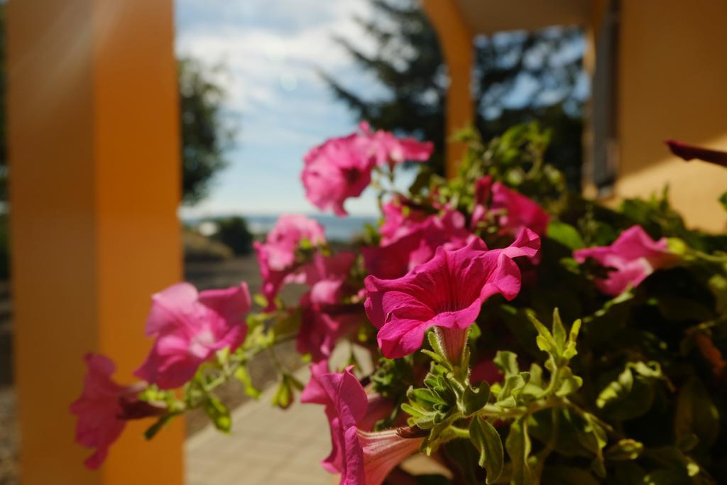 B&B Podere Ospedaletto Bolsena Buitenkant foto